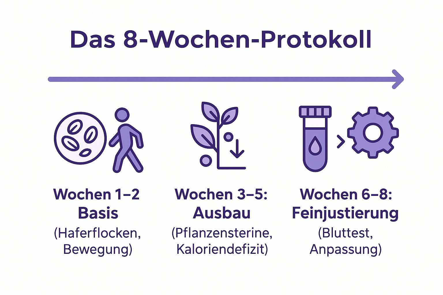 Das beyond100 8-Wochen-Protokoll zur natürlichen Cholesterinsenkung in drei Phasen