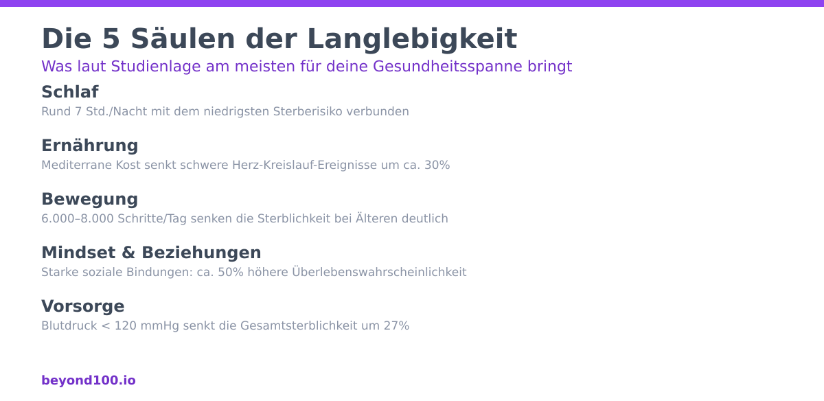 Infografik: Die 5 Säulen der Langlebigkeit, Schlaf, Ernährung, Bewegung, Mindset und Beziehungen, Vorsorge